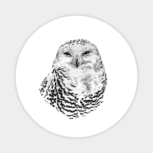 Snowy owl Magnet